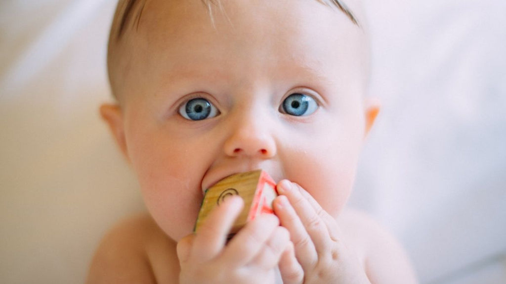 When Do Babies Develop Pincer Grasp?
