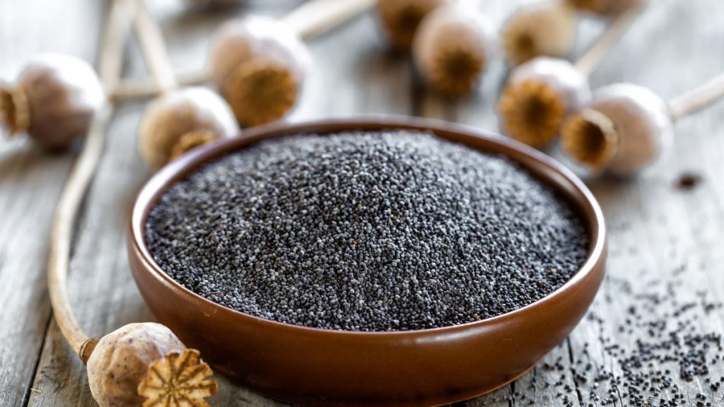 can babies have poppy seeds?